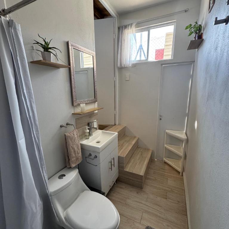 Bamboo Loft CDMX - Apartamento de 1 dormitorio - 11