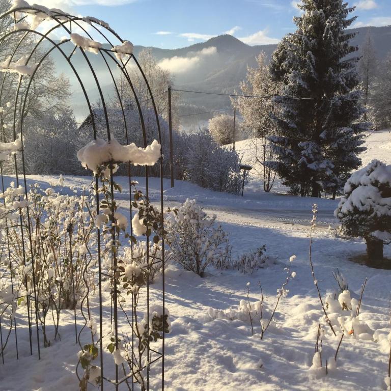 Ferienwohnung Wildrose - Apartment mit Blick auf die Berge - 61