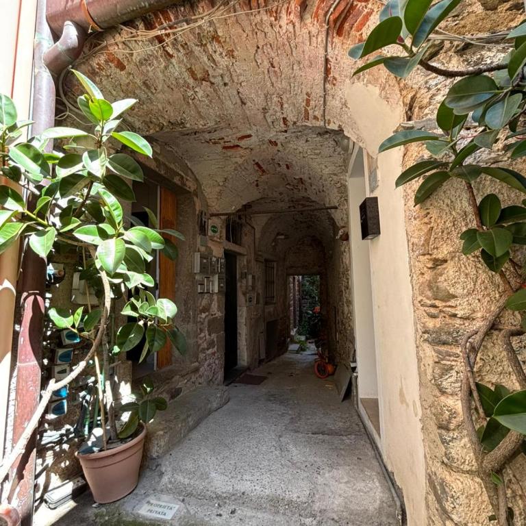 La tana degli orsi - Appartement 1 Chambre - 8