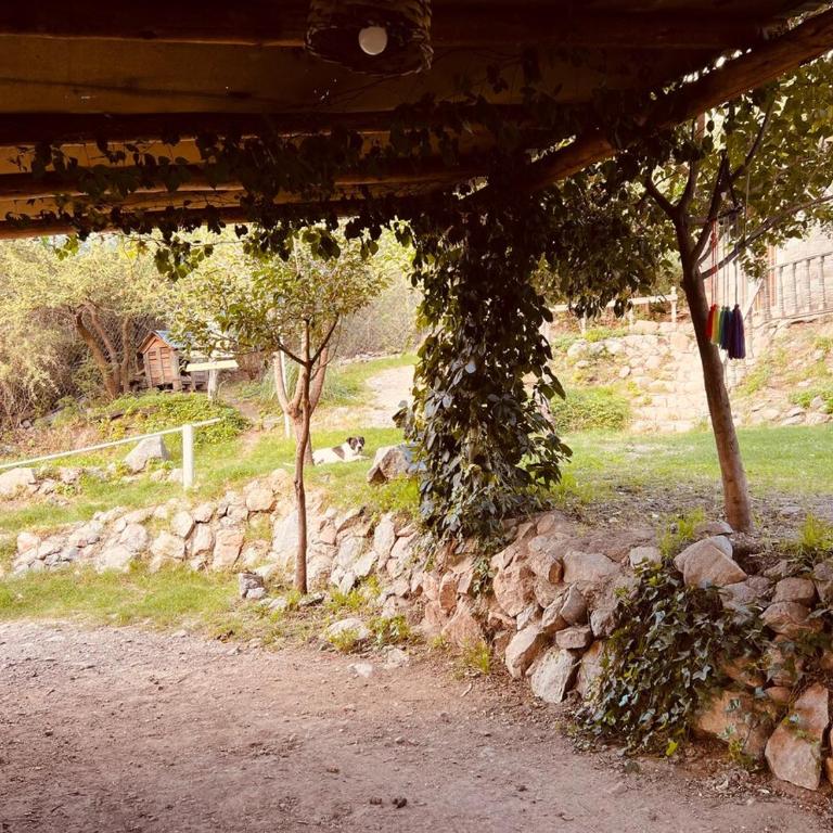 Hospedaje San Luis Sierras - Casa - 29