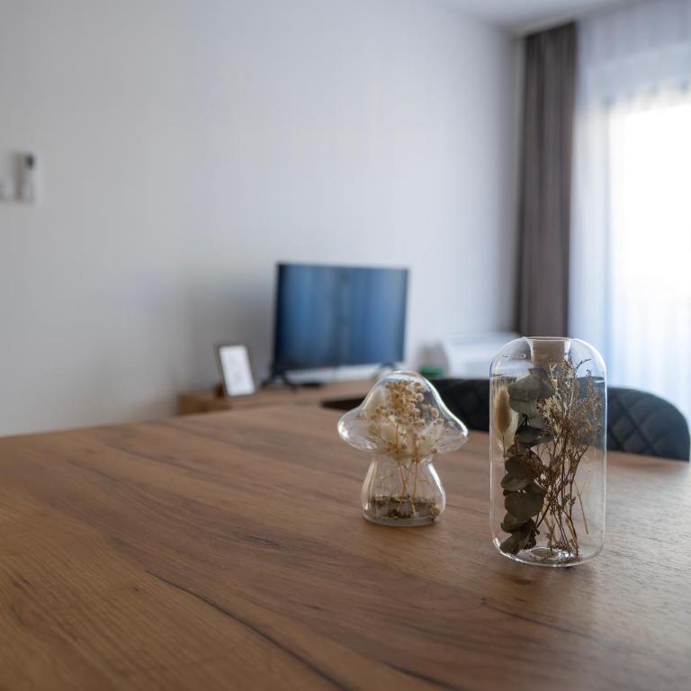 Apartman Dunja - Apartman sa 1 Spavaćom Sobom - 5