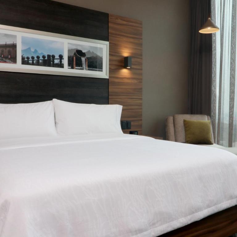 Hilton Garden Inn Monterrey Obispado - Deluxe Queen Room - Hearing Accessible - 3