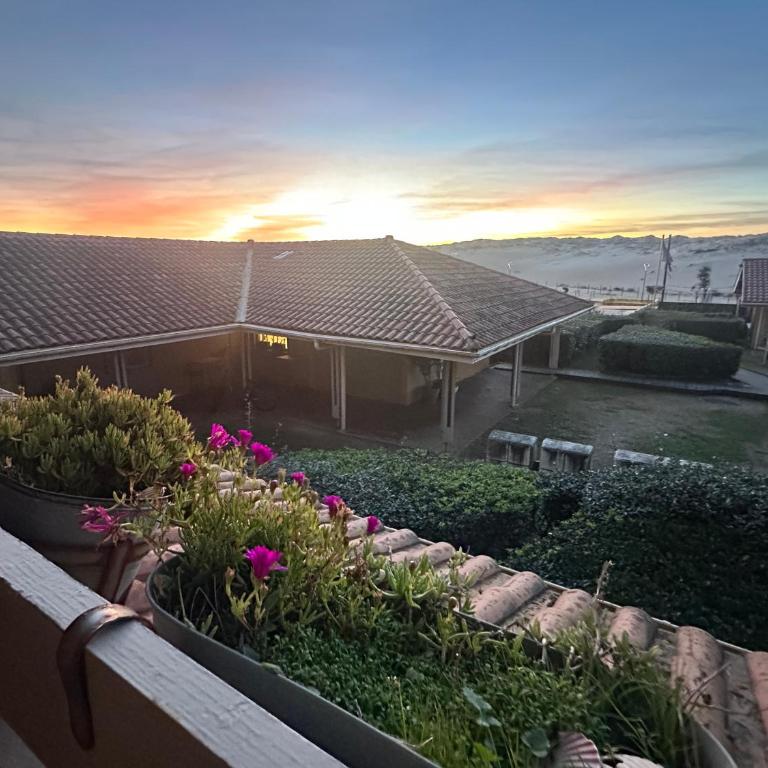 Appartement Vue Sur La Dune - Superior One-Bedroom Apartment with Balcony - 1