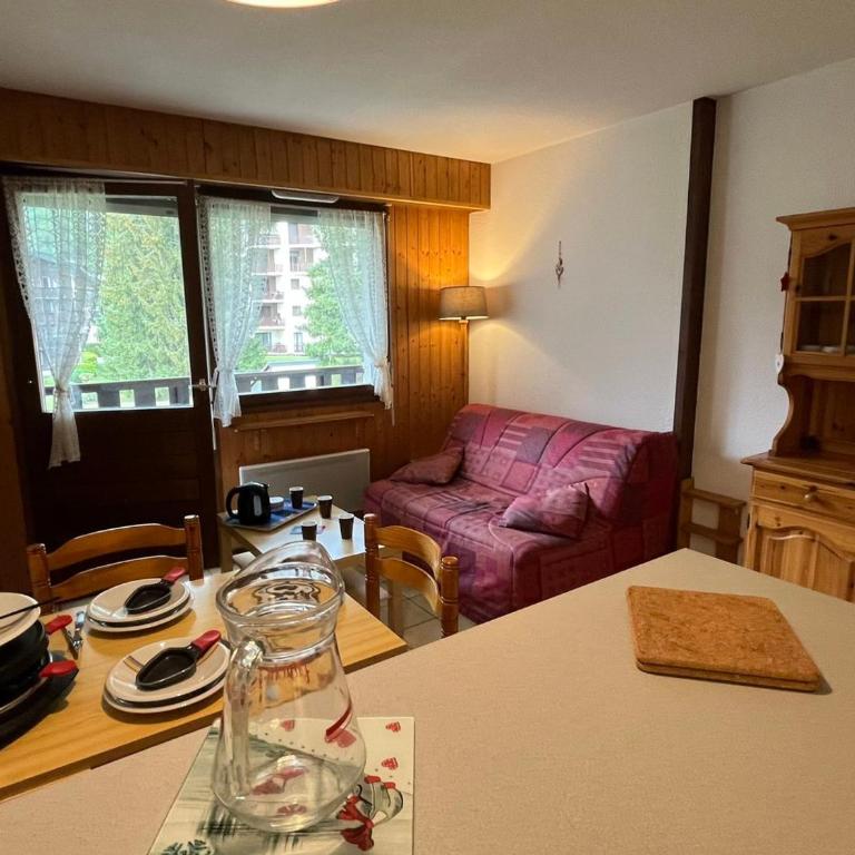 Studio cosy pour 4 pers., balcon, à Samoëns - FR-1-629-117 - Studio - 8