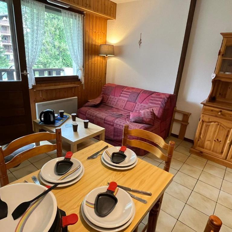 Studio cosy pour 4 pers., balcon, à Samoëns - FR-1-629-117 - Studio - 17