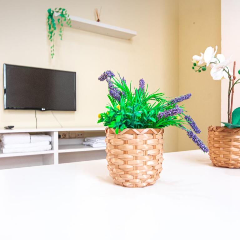 EDomus Los Patios de Feria - Apartamento de 1 dormitorio - 4