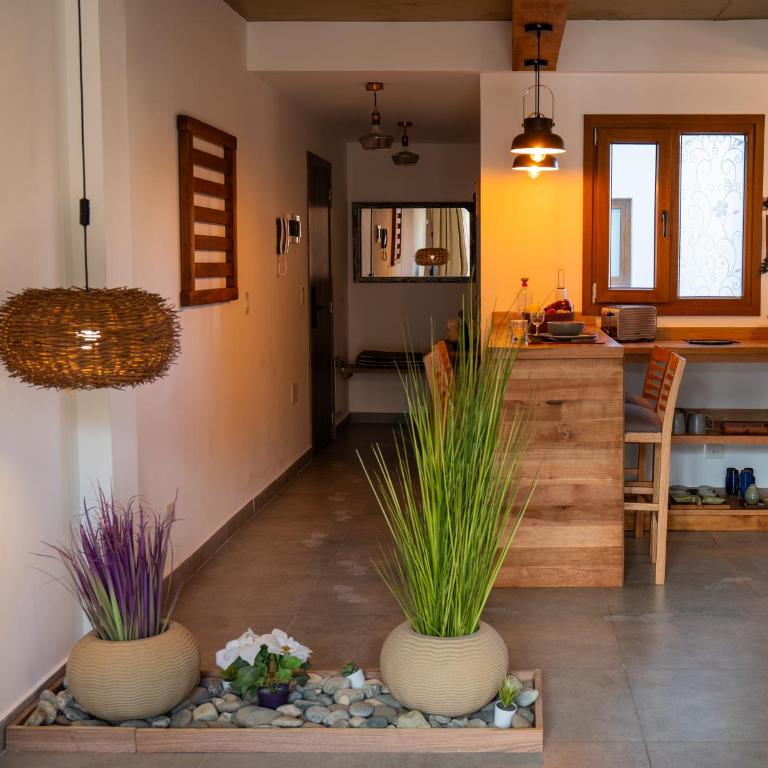 Campichuelo Suit's - Apartamento de 1 dormitorio - 8