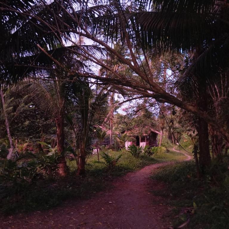 Charming Cabin Retreat in Buenaventura with Garden BBQ - Casa - 2