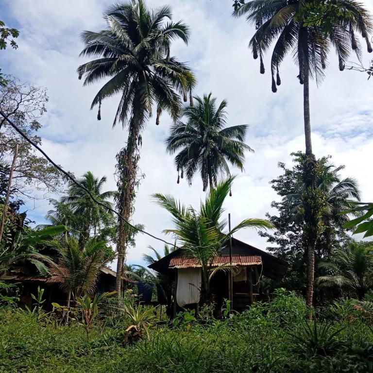 Charming Cabin Retreat in Buenaventura with Garden BBQ - Casa - 7