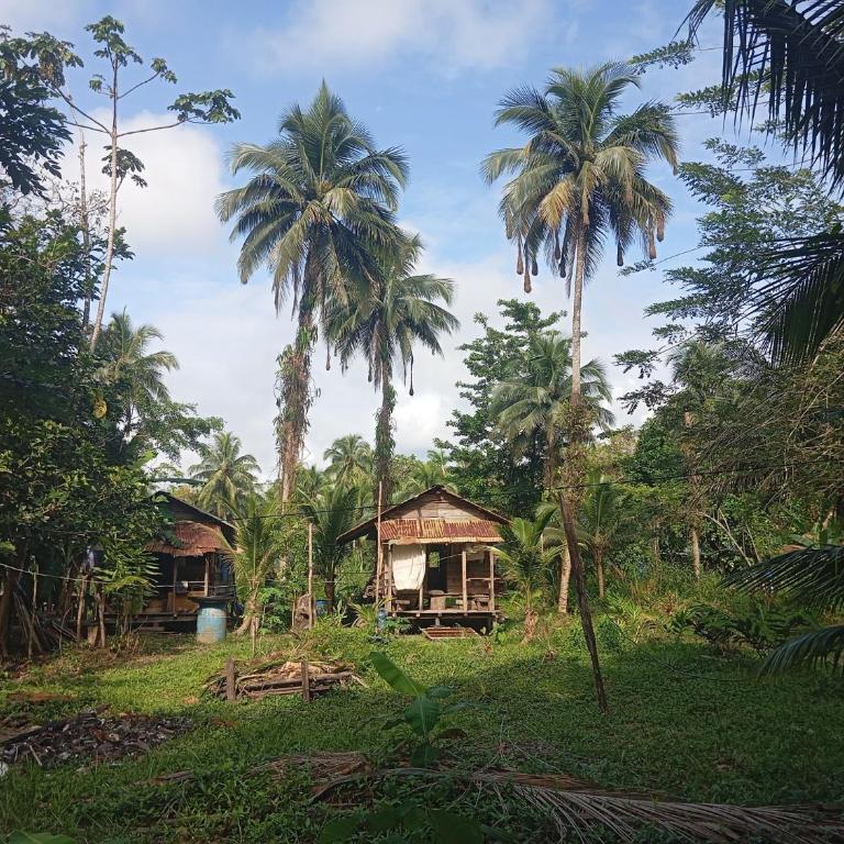 Charming Cabin Retreat in Buenaventura with Garden BBQ - Casa - 9