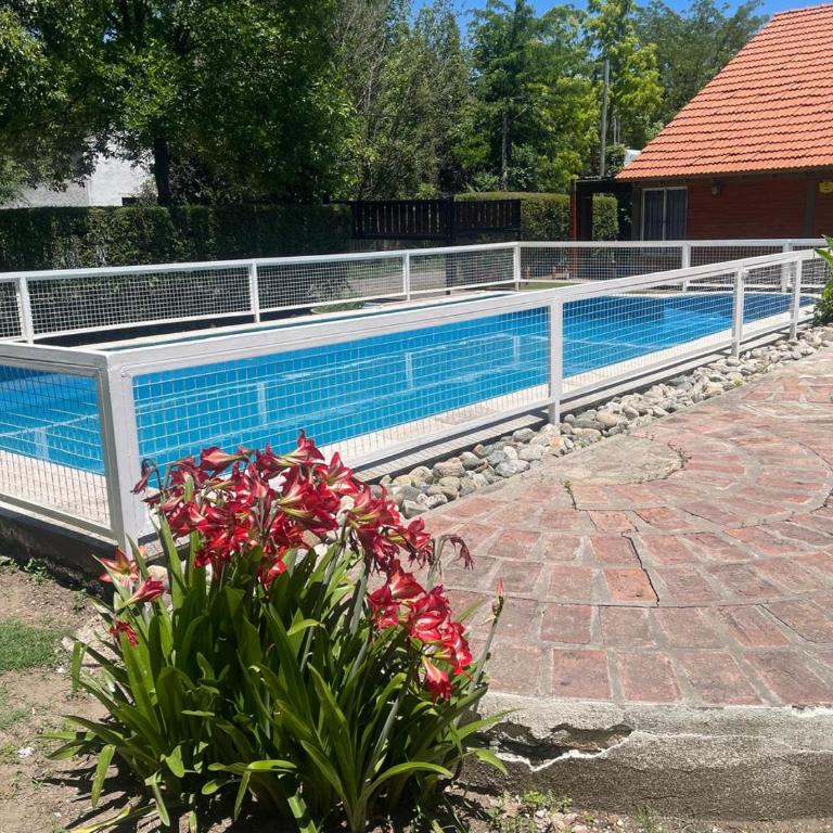 Cabañas Del Sol - Apartamento de 1 dormitorio - 16