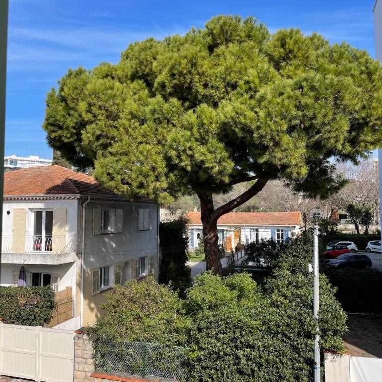 Calme et douceur à Juan les pins - Apartment mit 1 Schlafzimmer - 8