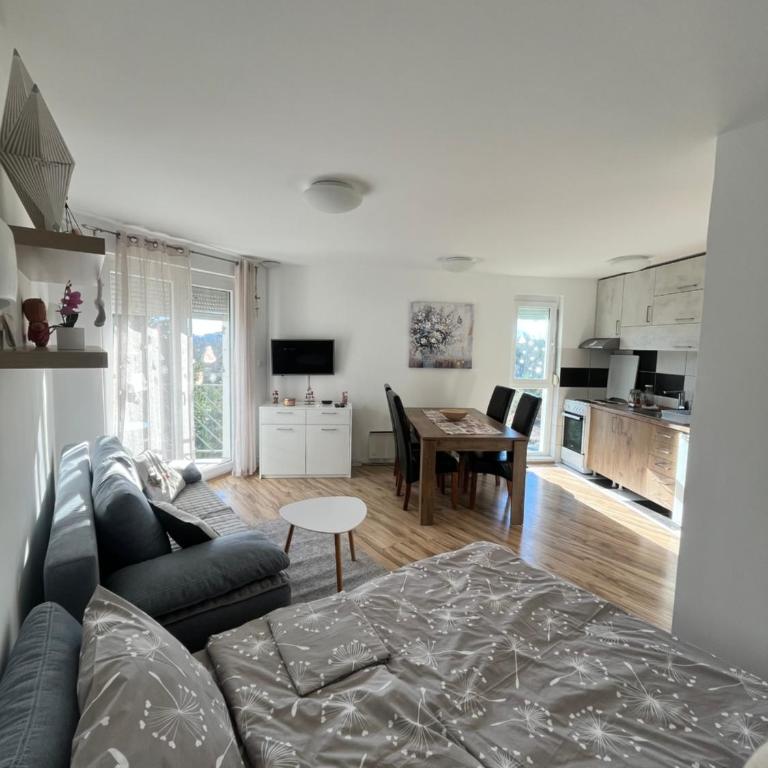 Studio Senka - Apartman sa 1 Spavaćom Sobom - 15