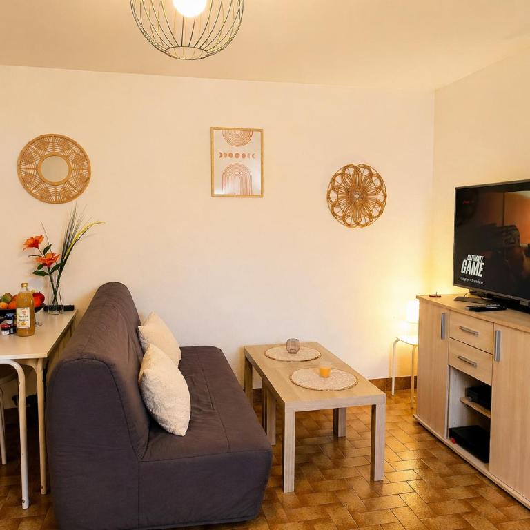 Studio des Abeilles - Centre, Parking & Vue - Studio - Vue sur Montagne - 14