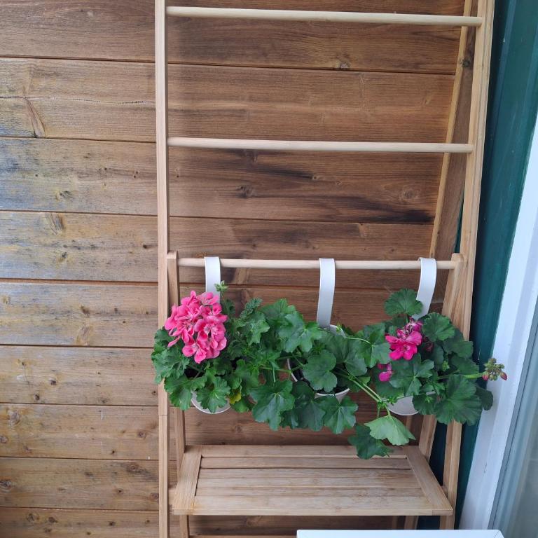 Alpine Studio near Bad Ischl - Apartment mit 1 Schlafzimmer - 13