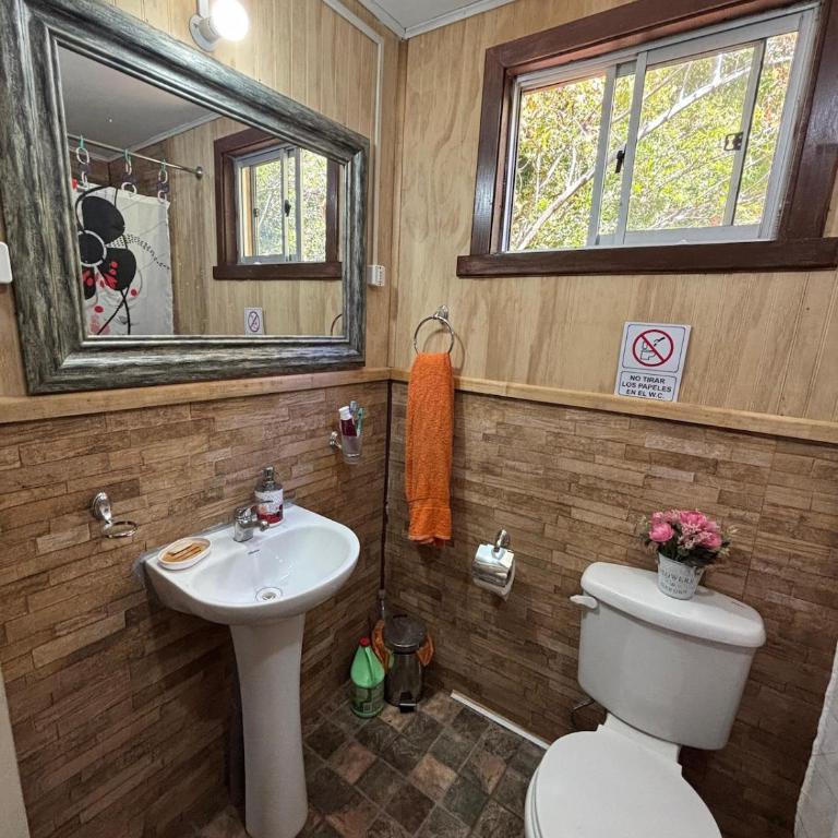 Cabaña Conguillio - Two-Bedroom House - 29