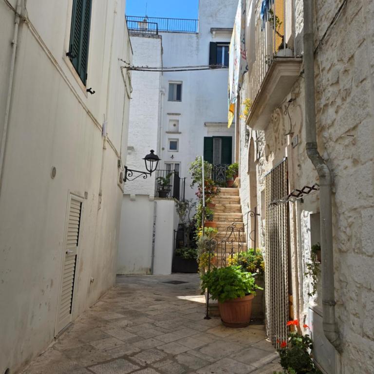 Nonno Pasquale house - Appartamento con 1 Camera da Letto - 4