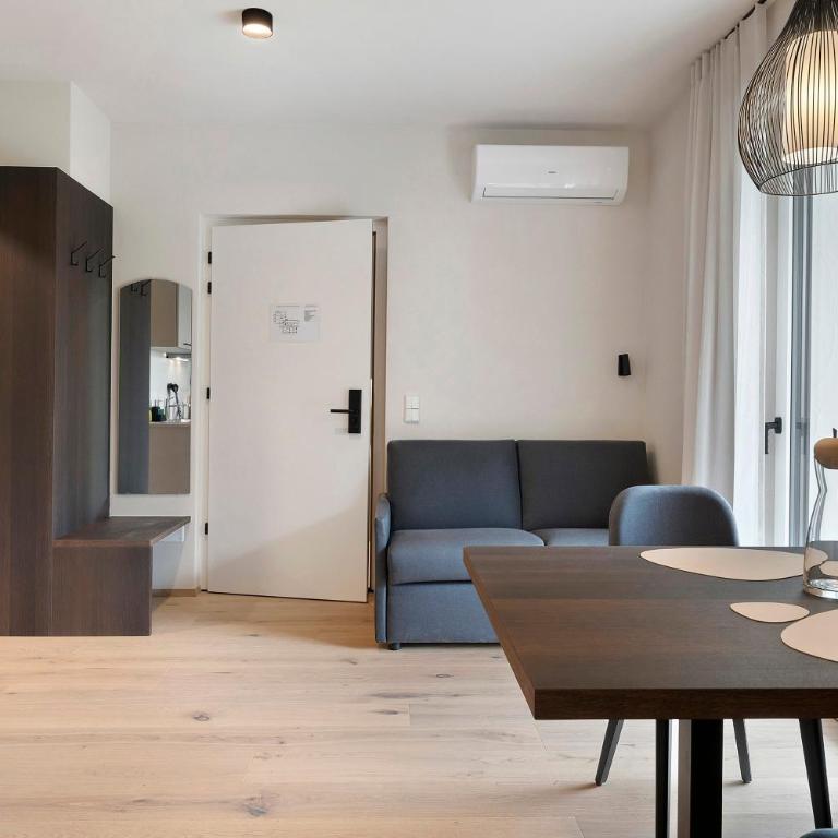 Gisshübelhof Apartments - Appartamento Superior con 1 Camera da Letto e Balcone - 14