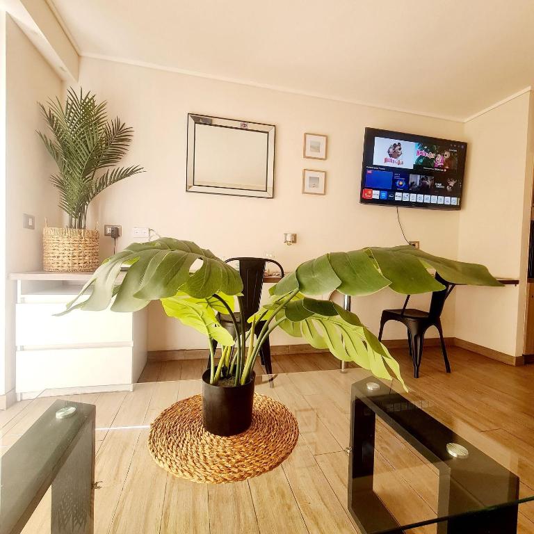 Deptos Estudios y de 2 dormitorios, Central, San Martin 2426. Sector Mall Plaza, Cowork y Factura. - Studio with Sofa Bed - 16