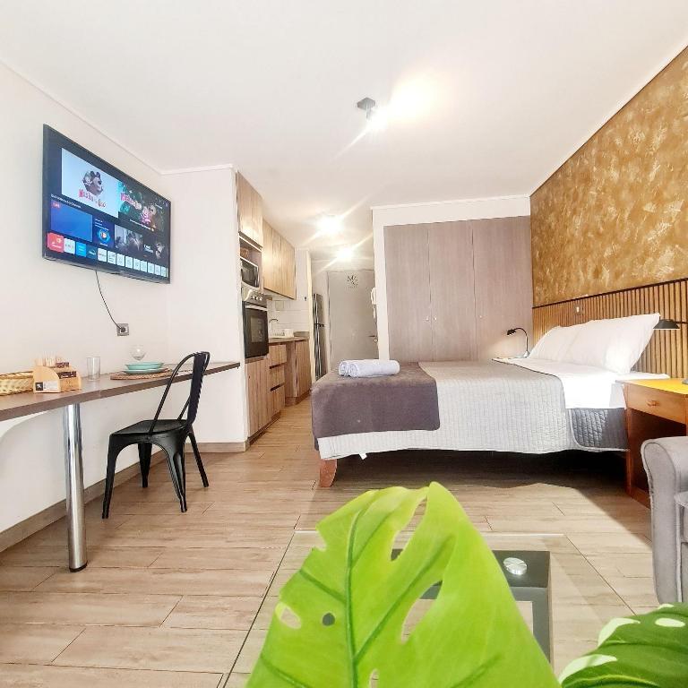 Deptos Estudios y de 2 dormitorios, Central, San Martin 2426. Sector Mall Plaza, Cowork y Factura. - Studio with Sofa Bed - 19
