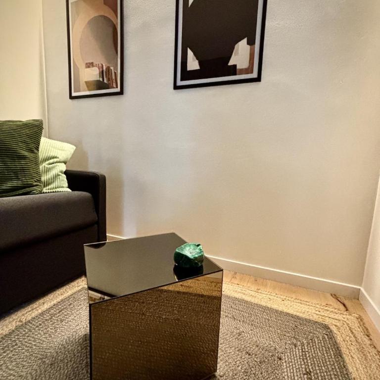 Mont-Blanc Design Studio - Apartamento de 1 dormitorio - 13