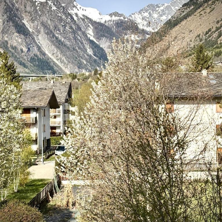 Mont-Blanc Design Studio - Apartamento de 1 dormitorio - 47