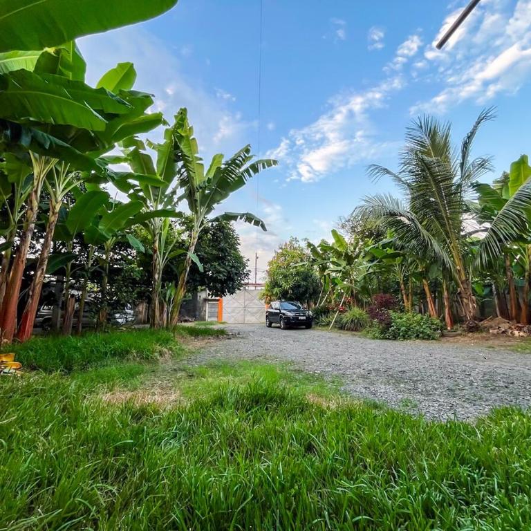 Suite completa con jardin y parqueo privado - One-Bedroom Apartment - 5