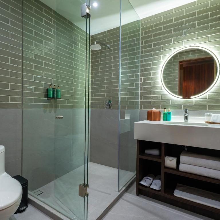 Ambulan Mexico City - Deluxe Suite - 5