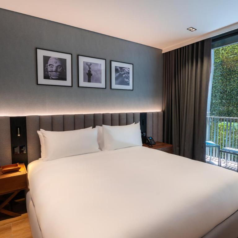 Ambulan Mexico City - Deluxe Suite - 6