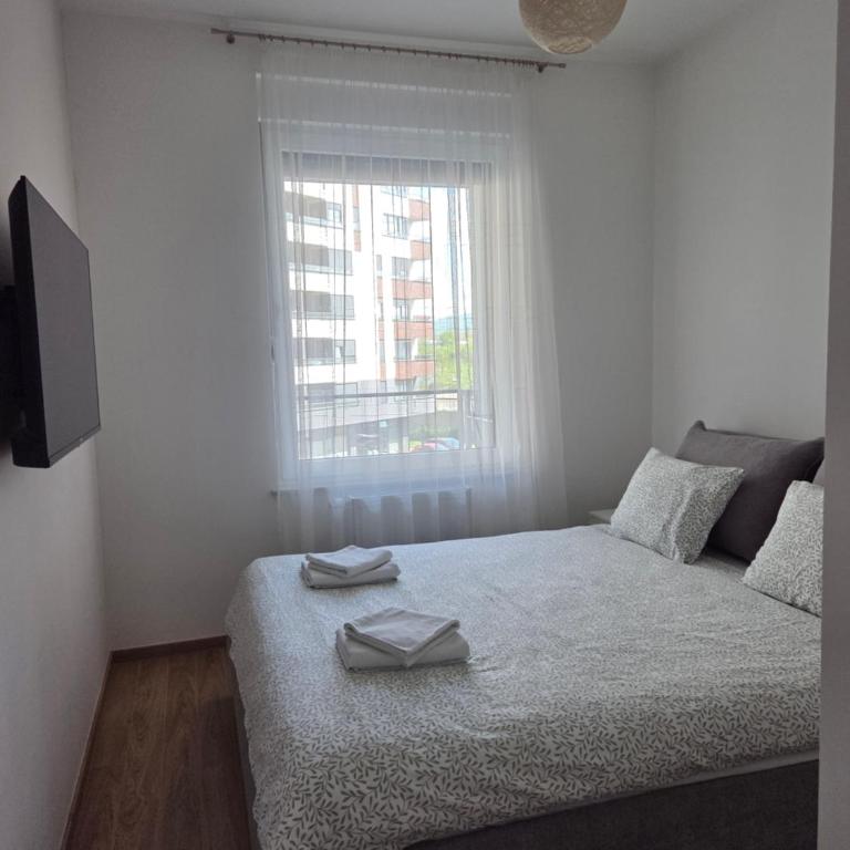Apartman 11 - Apartman sa 1 Spavaćom Sobom - 5