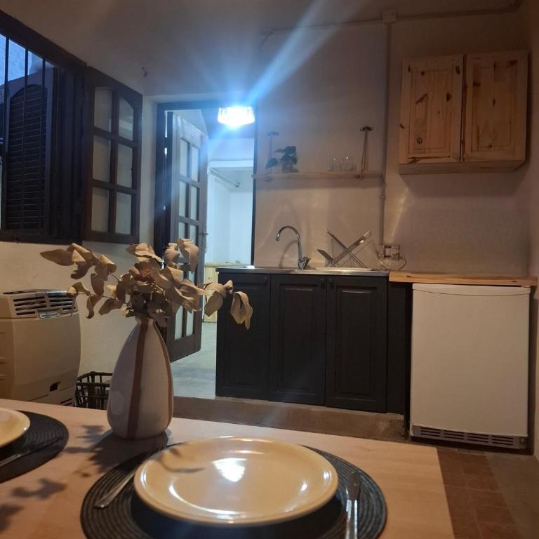 Departamento San Luis Centro - Apartamento de 1 dormitorio - 1