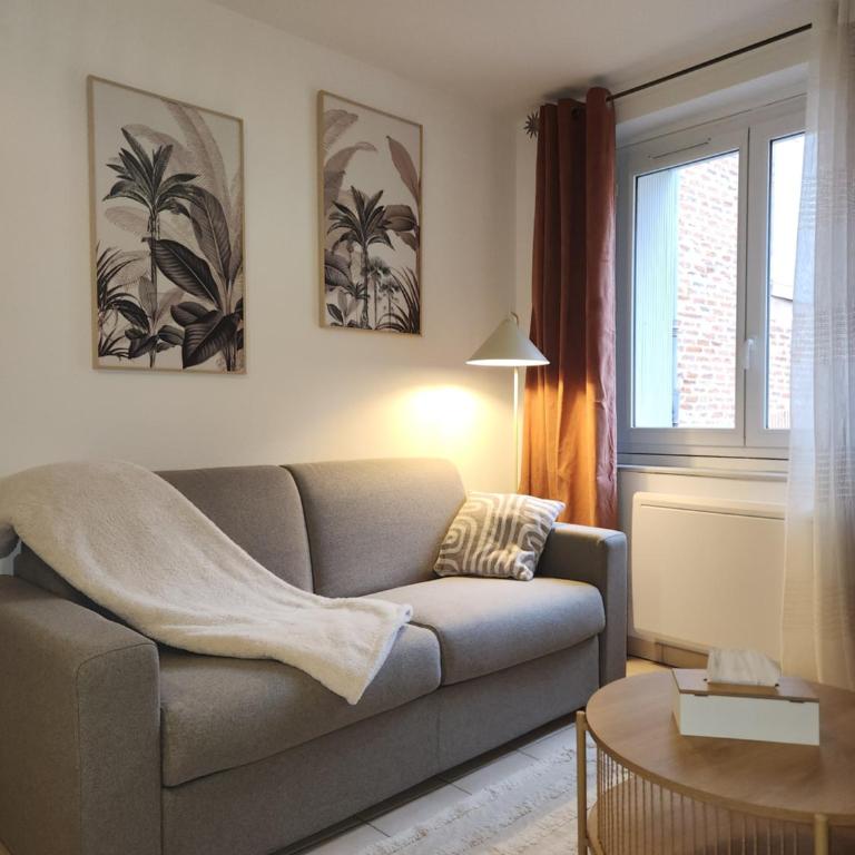 Le petit marché de Sainte Cécile- Centre historique Albi - Appartement 1 Chambre - 4