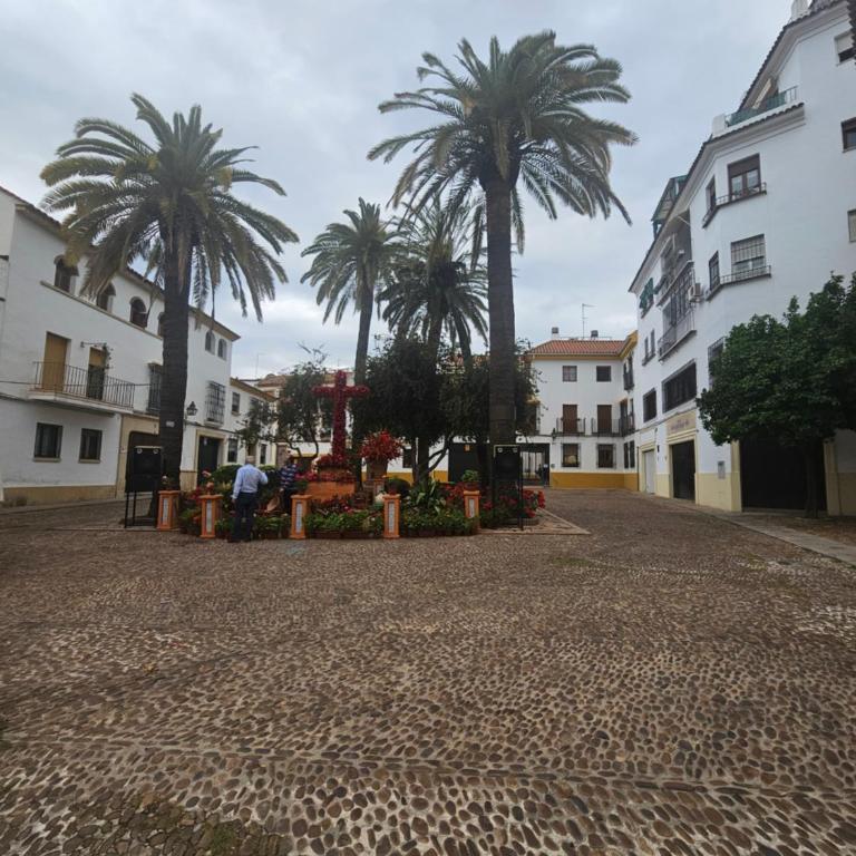 Lagunilla Suites - Apartamento de 1 dormitorio - 14