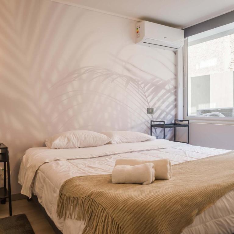 Elegant Downtown Santiago apartment for 2 - Apartment - 5