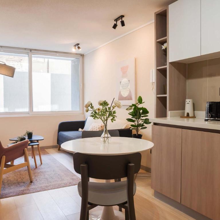 Elegant Downtown Santiago apartment for 2 - Apartment - 8