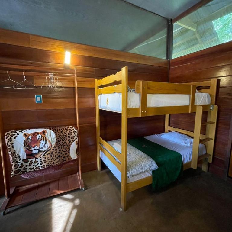 Coco house tambopata - Habitación Familiar - 5
