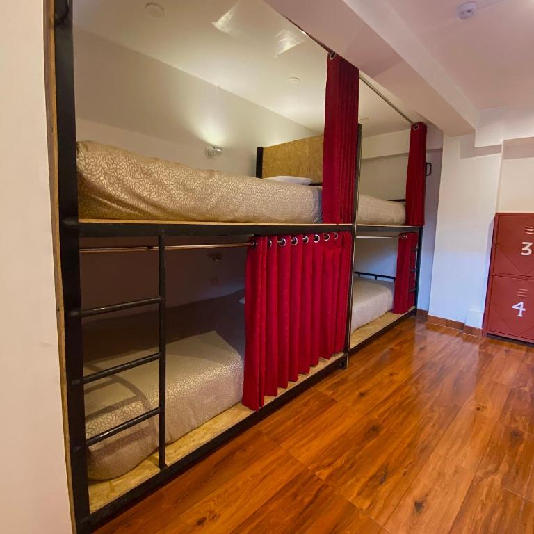 Magic Packer Hostel - Habitación Compartida Mixta - 4 camas - 2