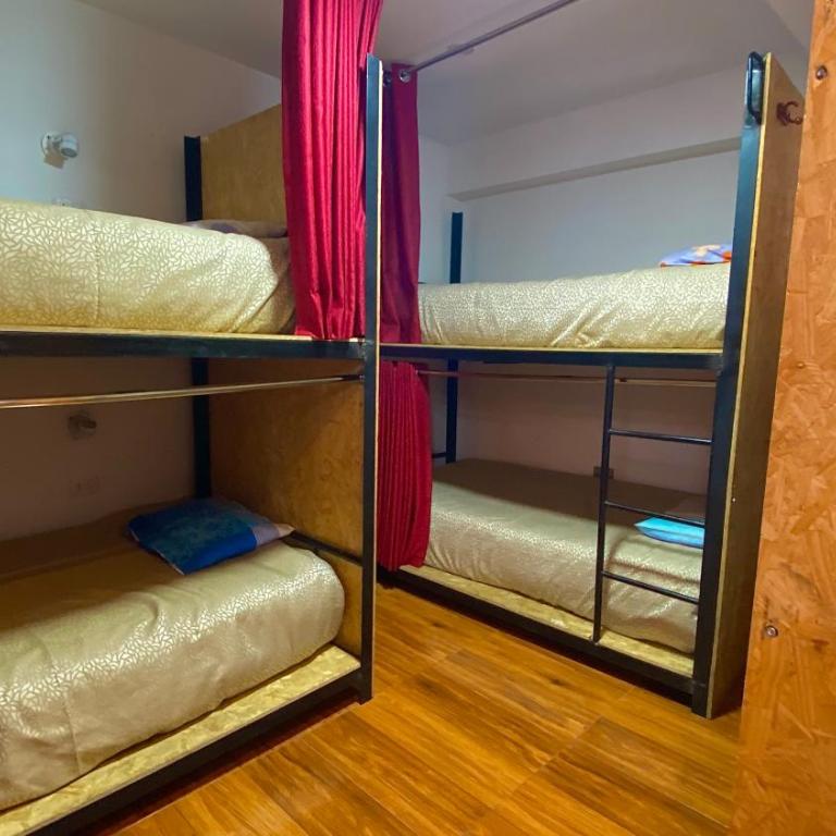 Magic Packer Hostel - Habitación compartida femenina - 6 camas - 3
