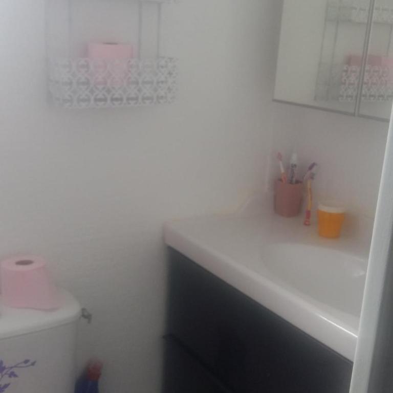 L'Instant Vacances des Tamarines, - Appartement 2 Chambres - 4