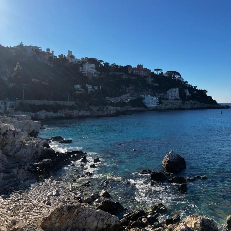 Nice Mont Boron proche du Port - Appartement 1 Chambre - 10