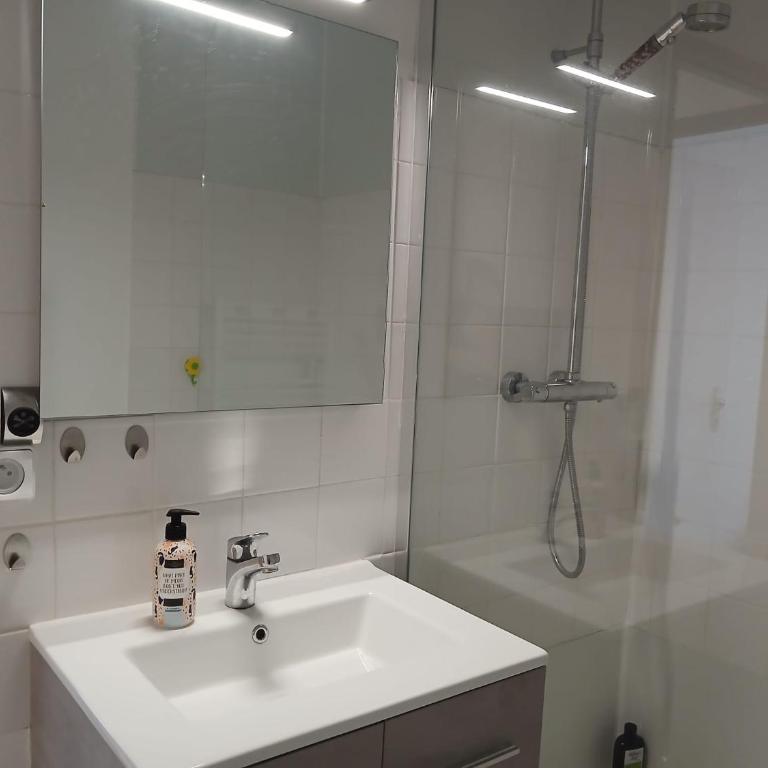 Appartement les pieds dans l'eau - Apartamento de 1 dormitorio - 10