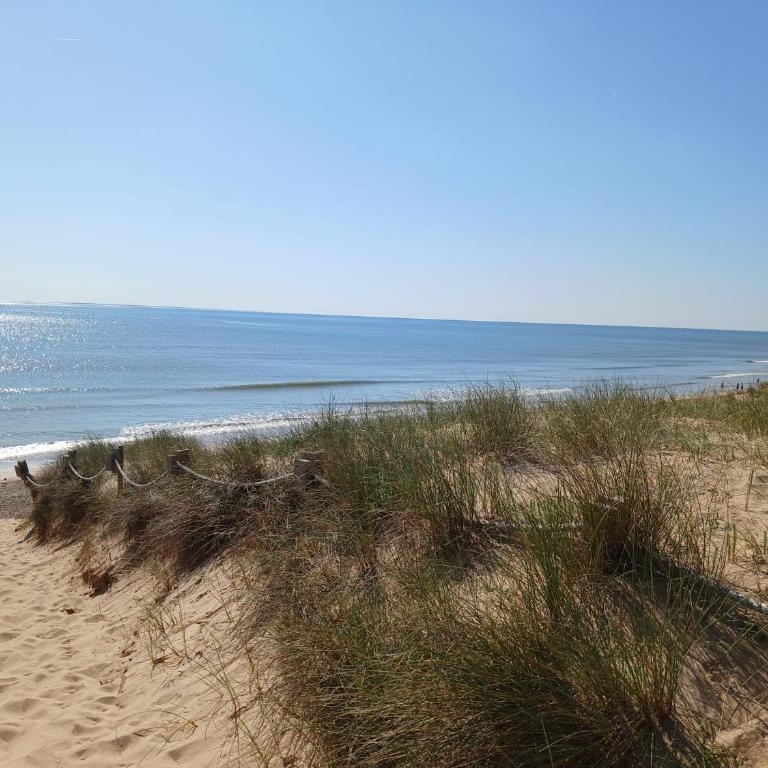 Appartement les pieds dans l'eau - Apartamento de 1 dormitorio - 25