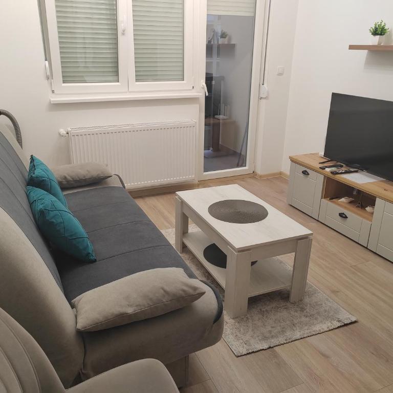 Apartman Simić Banja Koviljača - Apartman sa 1 Spavaćom Sobom - 2