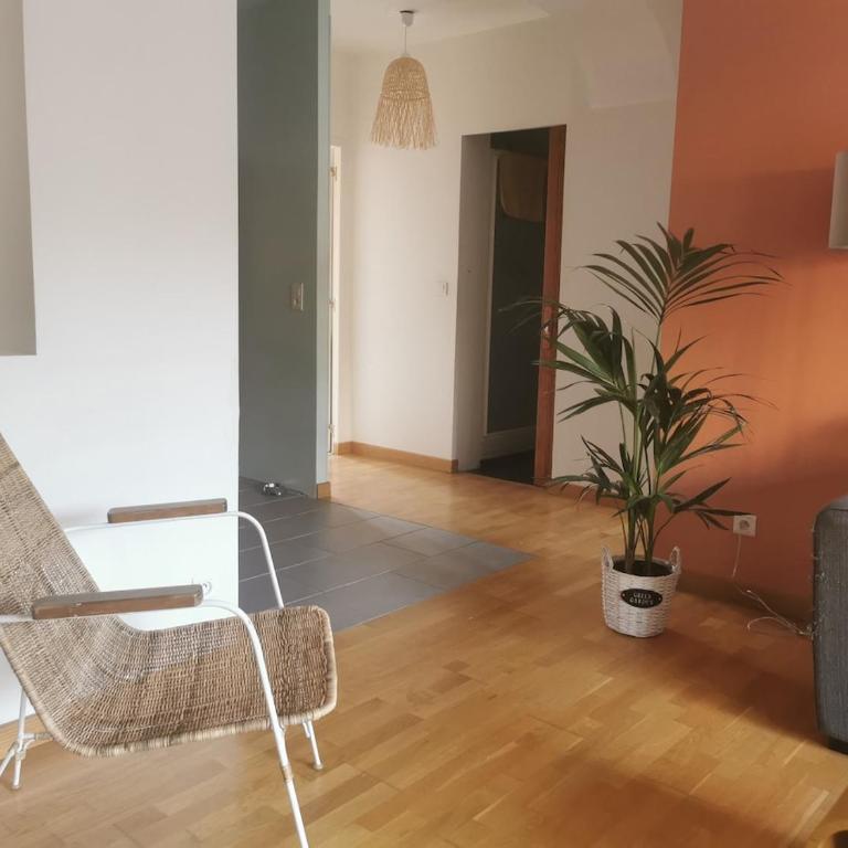 Appartement en résidence avec Jacuzzi - Apartment - 19