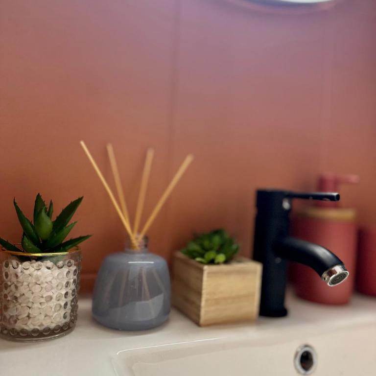 Appartement rénové terracota en plein centre - Apartamento de 1 dormitorio - 15