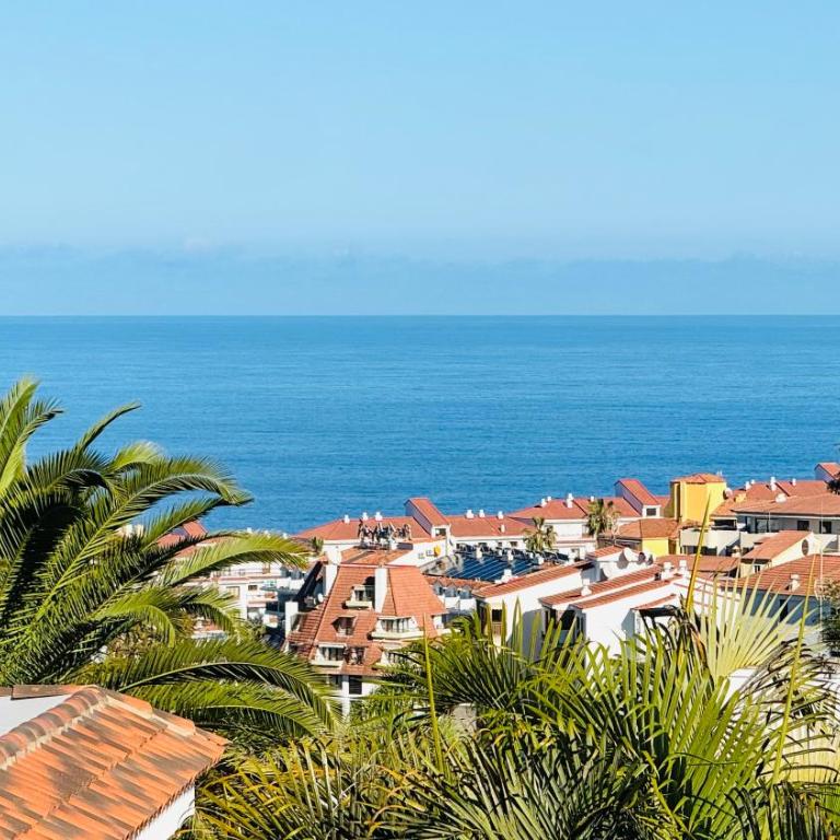 Villa de Luxe, 360m2, 4 chambres, vue mer, piscine privée et chauffée - Villa - 3