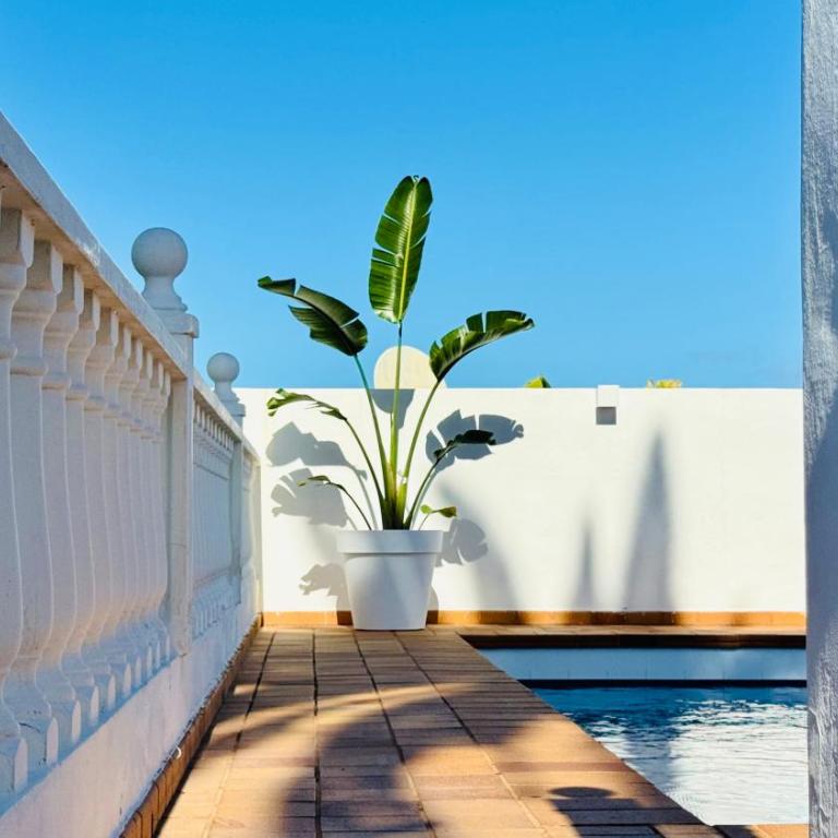 Villa de Luxe, 360m2, 4 chambres, vue mer, piscine privée et chauffée - Villa - 96