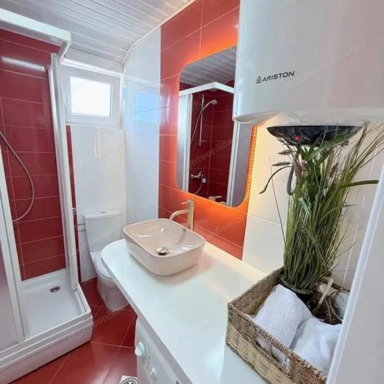 Njaro Del Mar 8 - One-Bedroom Apartment - 4