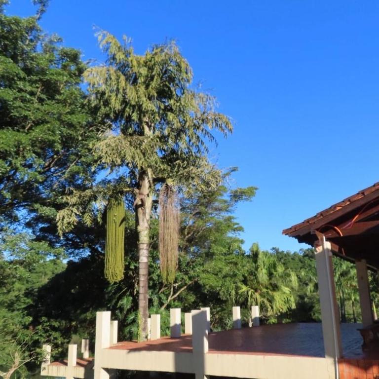 Amanecer del Monday - Tent - 31