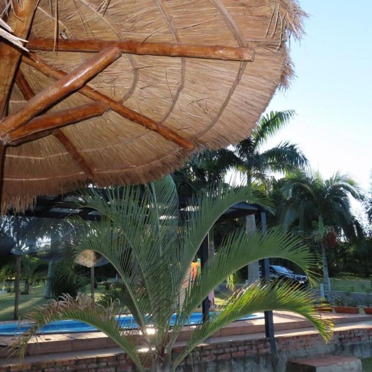 Amanecer del Monday - Tent - 43